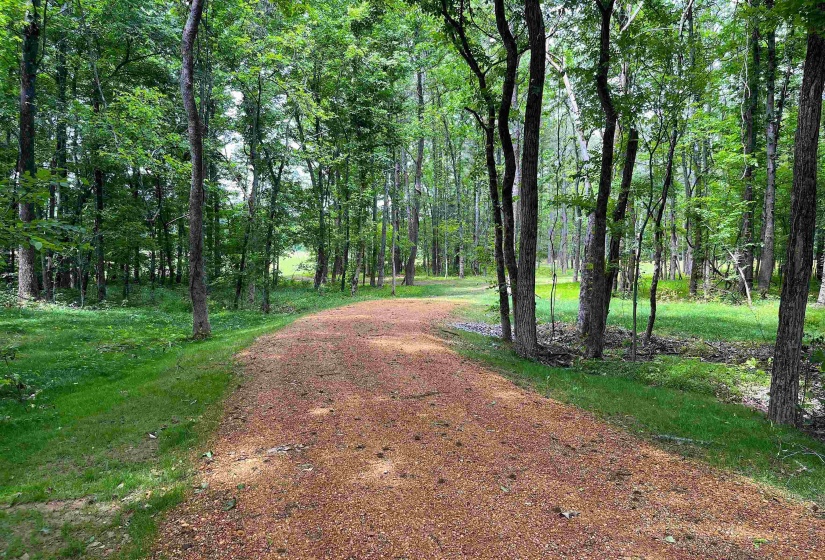 6225 RICKS RD, Arlington, Tennessee 38002, ,Land,For Sale,RICKS,10223030