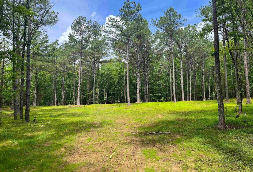 6225 RICKS RD, Arlington, Tennessee 38002, ,Land,For Sale,RICKS,10223030