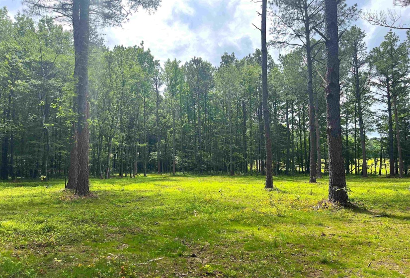 6225 RICKS RD, Arlington, Tennessee 38002, ,Land,For Sale,RICKS,10223030