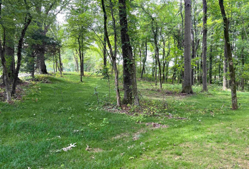 6225 RICKS RD, Arlington, Tennessee 38002, ,Land,For Sale,RICKS,10223030