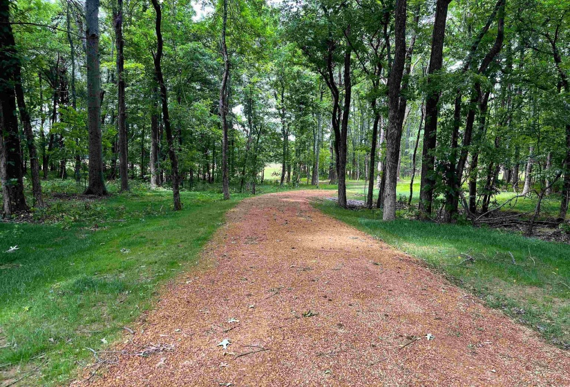 6225 RICKS RD, Arlington, Tennessee 38002, ,Land,For Sale,RICKS,10223030