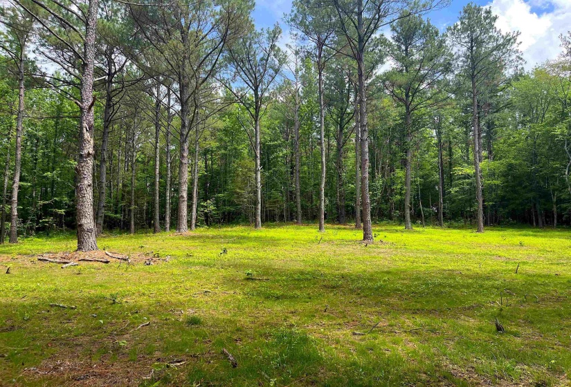 6225 RICKS RD, Arlington, Tennessee 38002, ,Land,For Sale,RICKS,10223030