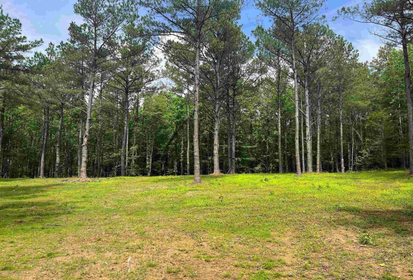 6225 RICKS RD, Arlington, Tennessee 38002, ,Land,For Sale,RICKS,10223030