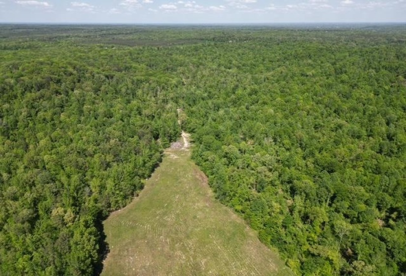 935 BIG ROCK TRL, Henderson, Tennessee 38340, 0 , 0 ,0,Land,For Sale,BIG ROCK,0,10223047