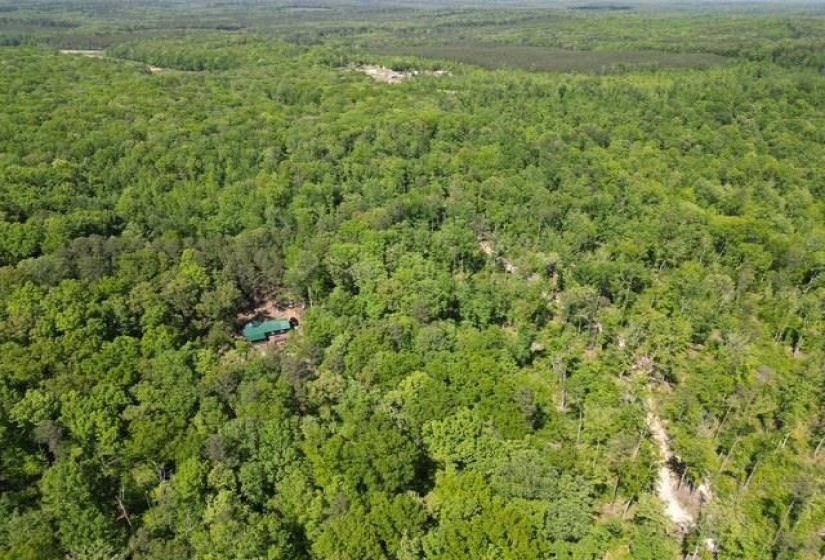 935 BIG ROCK TRL, Henderson, Tennessee 38340, 0 , 0 ,0,Land,For Sale,BIG ROCK,0,10223047