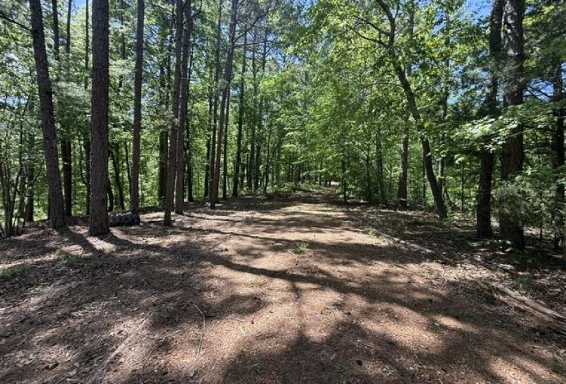 935 BIG ROCK TRL, Henderson, Tennessee 38340, 0 , 0 ,0,Land,For Sale,BIG ROCK,0,10223047
