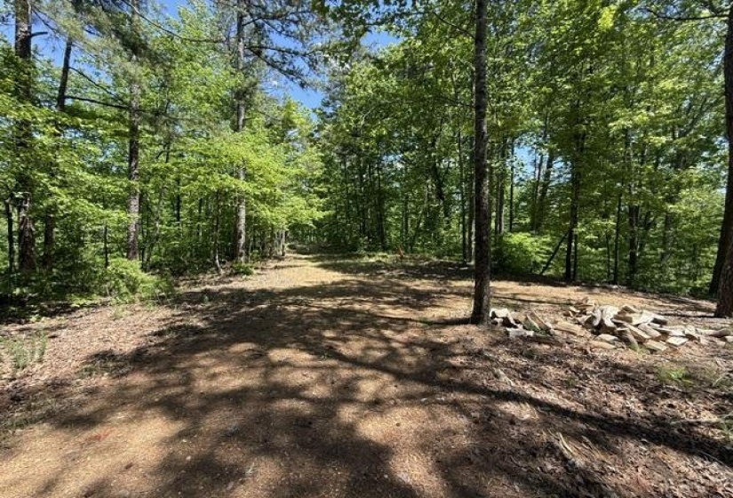 935 BIG ROCK TRL, Henderson, Tennessee 38340, 0 , 0 ,0,Land,For Sale,BIG ROCK,0,10223047