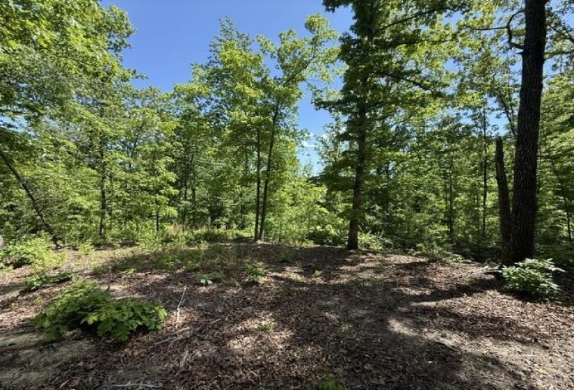 935 BIG ROCK TRL, Henderson, Tennessee 38340, 0 , 0 ,0,Land,For Sale,BIG ROCK,0,10223047