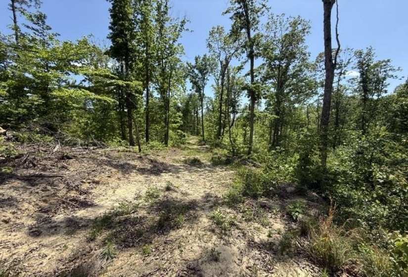 935 BIG ROCK TRL, Henderson, Tennessee 38340, 0 , 0 ,0,Land,For Sale,BIG ROCK,0,10223047