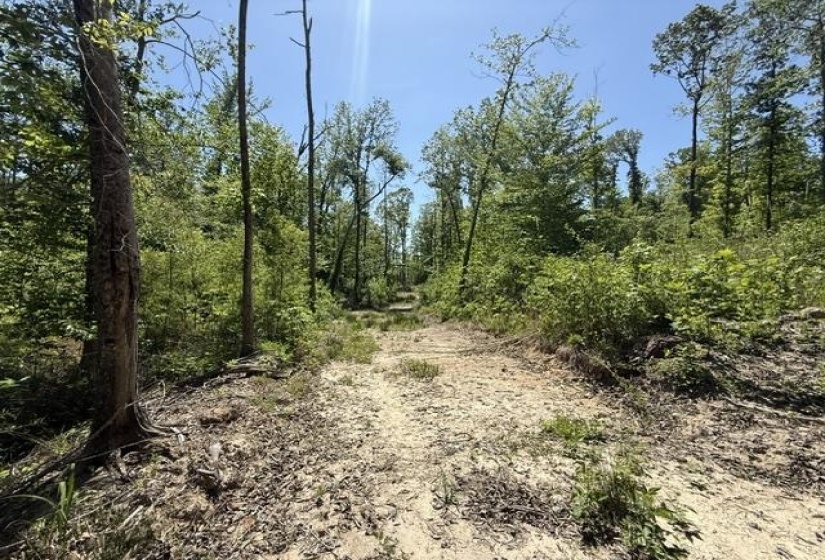935 BIG ROCK TRL, Henderson, Tennessee 38340, 0 , 0 ,0,Land,For Sale,BIG ROCK,0,10223047