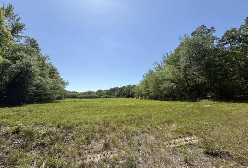 935 BIG ROCK TRL, Henderson, Tennessee 38340, 0 , 0 ,0,Land,For Sale,BIG ROCK,0,10223047
