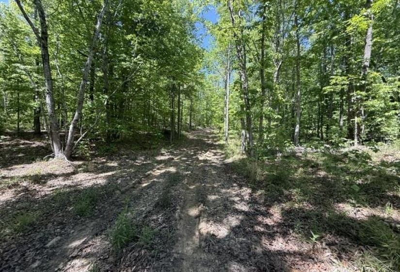 935 BIG ROCK TRL, Henderson, Tennessee 38340, 0 , 0 ,0,Land,For Sale,BIG ROCK,0,10223047
