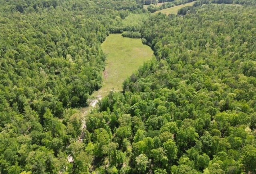 935 BIG ROCK TRL, Henderson, Tennessee 38340, 0 , 0 ,0,Land,For Sale,BIG ROCK,0,10223047
