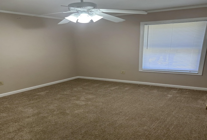 Spare room with ornamental molding, baseboards, carpet flooring, and ceiling fan