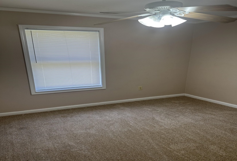 Carpeted spare room with ceiling fan, baseboards, and ornamental molding