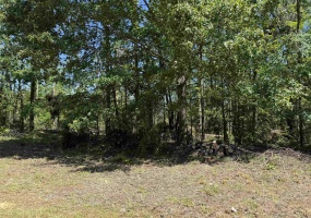 CLEMENT DR, Savannah, Tennessee 38372, 0 , 0 ,0,Land,For Sale,CLEMENT,0,10223074 CLEMENT DR, Savannah, Tennessee 38372, 0 , 0 ,0,Land,For Sale,CLEMENT,0,10223074