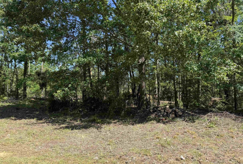 CLEMENT DR, Savannah, Tennessee 38372, 0 , 0 ,0,Land,For Sale,CLEMENT,0,10223074