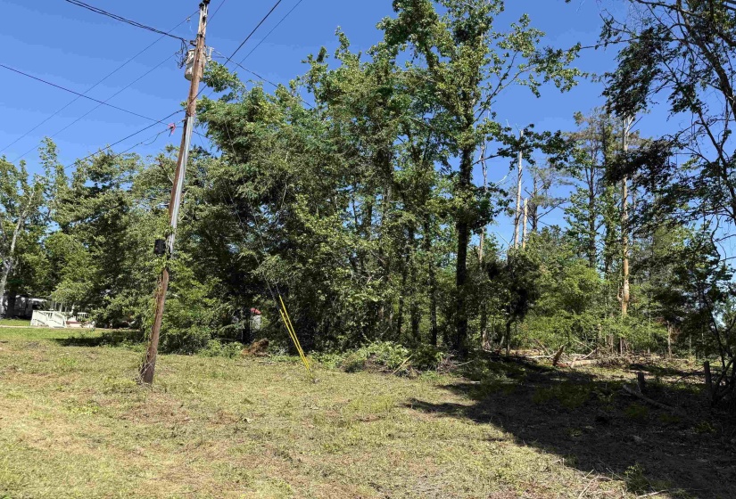 CLEMENT DR, Savannah, Tennessee 38372, 0 , 0 ,0,Land,For Sale,CLEMENT,0,10223074