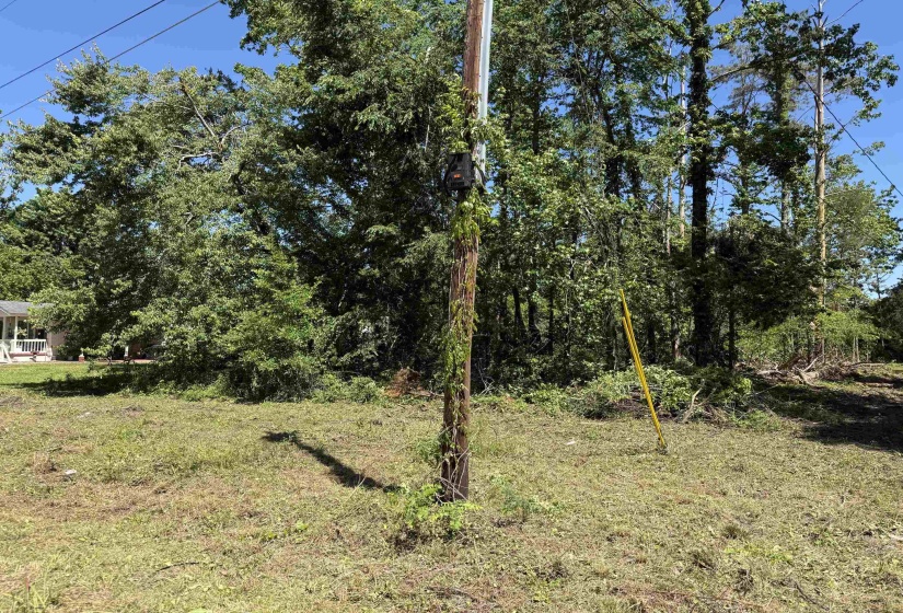 CLEMENT DR, Savannah, Tennessee 38372, 0 , 0 ,0,Land,For Sale,CLEMENT,0,10223074