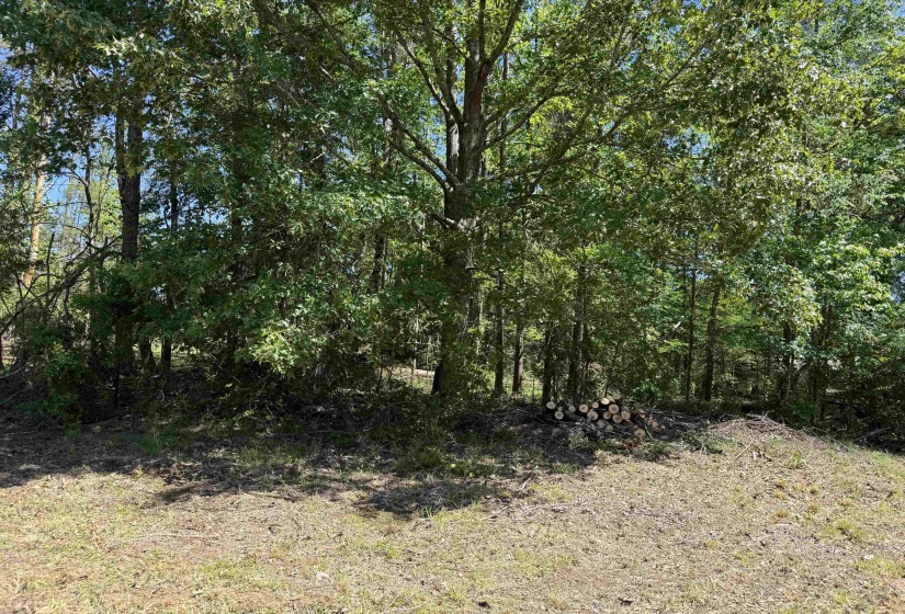CLEMENT DR, Savannah, Tennessee 38372, 0 , 0 ,0,Land,For Sale,CLEMENT,0,10223074
