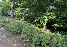 00 SEVEN OAKS CV, Savannah, Tennessee 38372, ,Land,For Sale,SEVEN OAKS,10223090 00 SEVEN OAKS CV, Savannah, Tennessee 38372, ,Land,For Sale,SEVEN OAKS,10223090