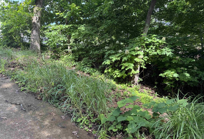 00 SEVEN OAKS CV, Savannah, Tennessee 38372, ,Land,For Sale,SEVEN OAKS,10223090