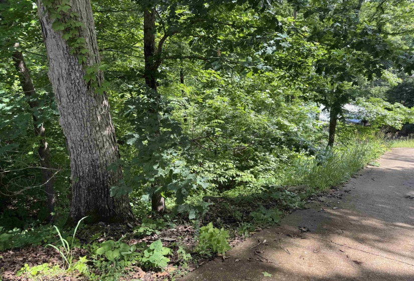 00 SEVEN OAKS CV, Savannah, Tennessee 38372, ,Land,For Sale,SEVEN OAKS,10223090