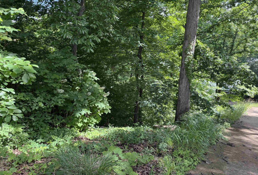 00 SEVEN OAKS CV, Savannah, Tennessee 38372, ,Land,For Sale,SEVEN OAKS,10223090