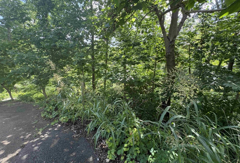 00 SEVEN OAKS CV, Savannah, Tennessee 38372, ,Land,For Sale,SEVEN OAKS,10223090