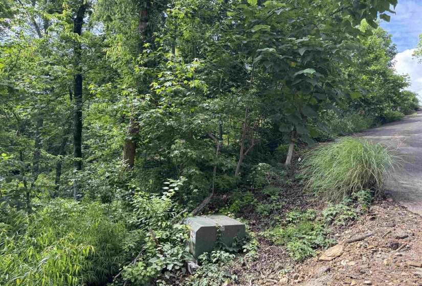 00 SEVEN OAKS CV, Savannah, Tennessee 38372, ,Land,For Sale,SEVEN OAKS,10223090
