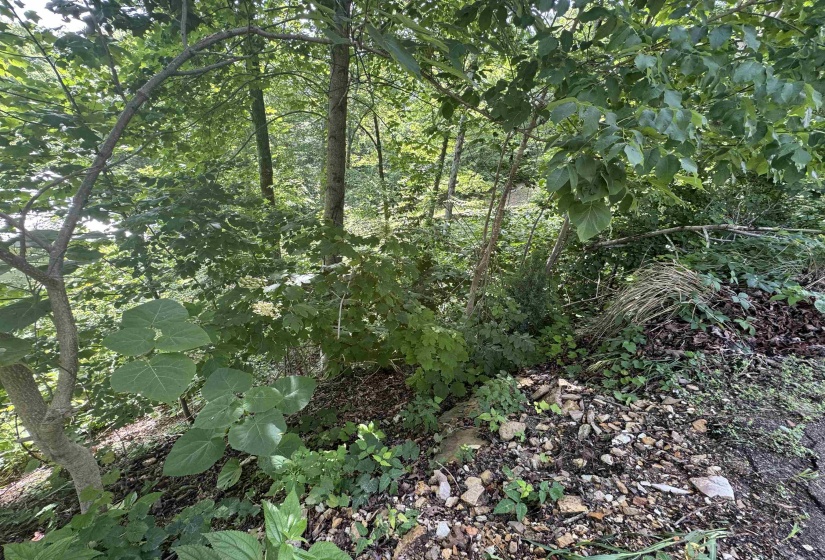 00 SEVEN OAKS CV, Savannah, Tennessee 38372, ,Land,For Sale,SEVEN OAKS,10223090