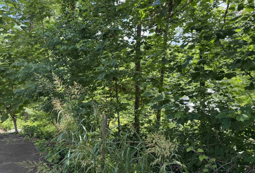 00 SEVEN OAKS CV, Savannah, Tennessee 38372, ,Land,For Sale,SEVEN OAKS,10223090