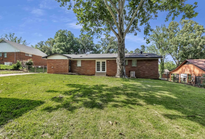 Expansive green lawn with mature tree providing natural shade