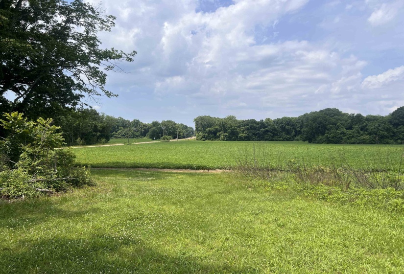 9820 HWY 59 HWY, Unincorporated, Tennessee 38015, 2 Bedrooms Bedrooms, 5 Rooms Rooms,1 BathroomBathrooms,Residential,For Sale,HWY 59,10223076