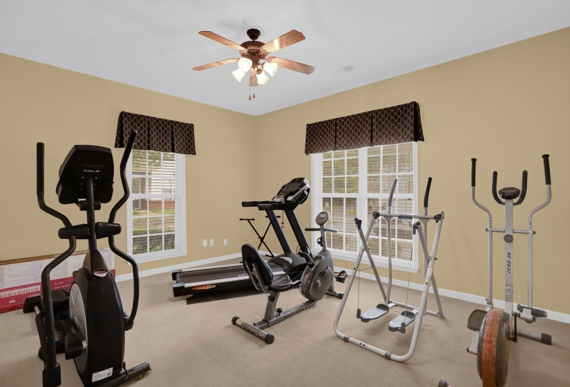 Spacious room with carpeted flooring, light tan walls, and two large windows featuring white blinds and patterned valances