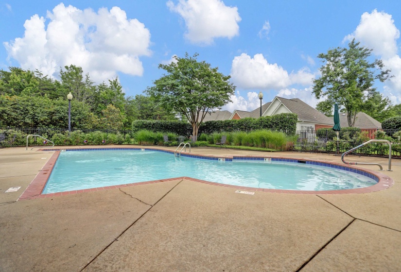 Outdoor swimming pool featuring a concrete deck, brick coping, and a dark blue tile waterline