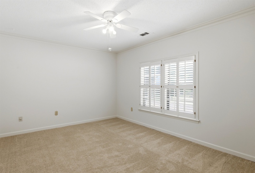 Neutral tone wall finishes with plush carpet flooring