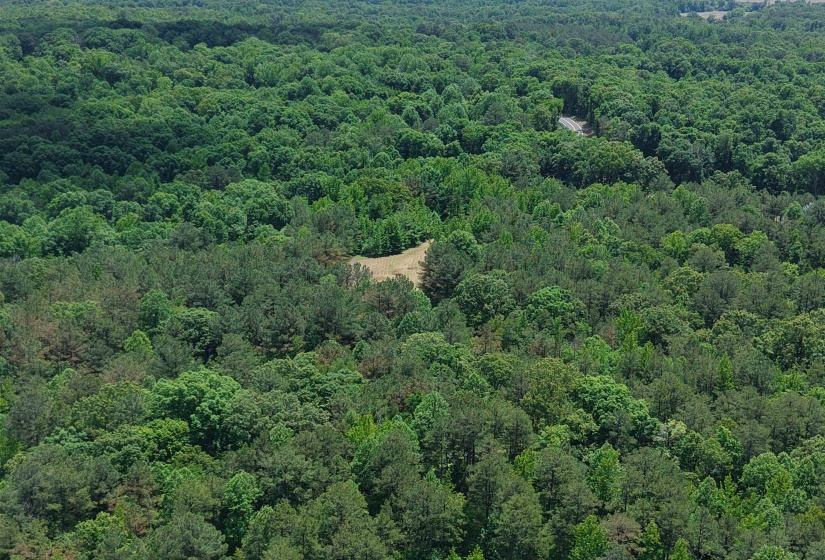 0 SILERTON RD, Bolivar, Tennessee 38008, ,Land,For Sale,SILERTON,10223158