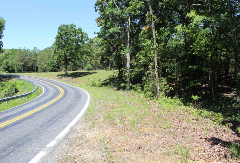 0 SILERTON RD, Bolivar, Tennessee 38008, ,Land,For Sale,SILERTON,10223158