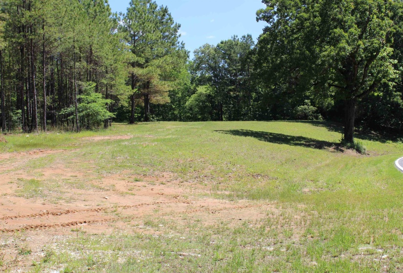 0 SILERTON RD, Bolivar, Tennessee 38008, ,Land,For Sale,SILERTON,10223158