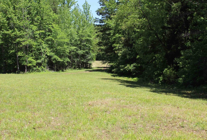 0 SILERTON RD, Bolivar, Tennessee 38008, ,Land,For Sale,SILERTON,10223158