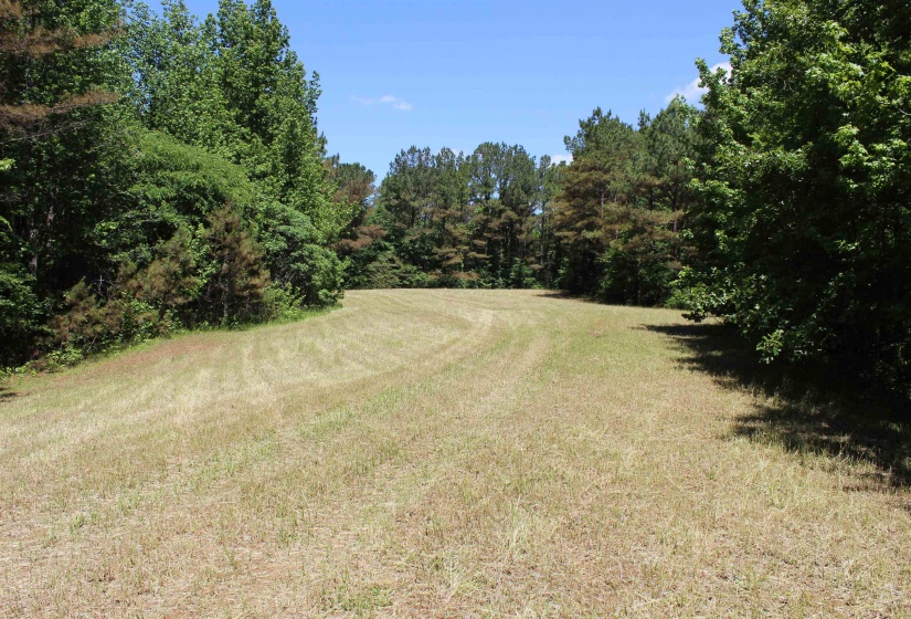 0 SILERTON RD, Bolivar, Tennessee 38008, ,Land,For Sale,SILERTON,10223158