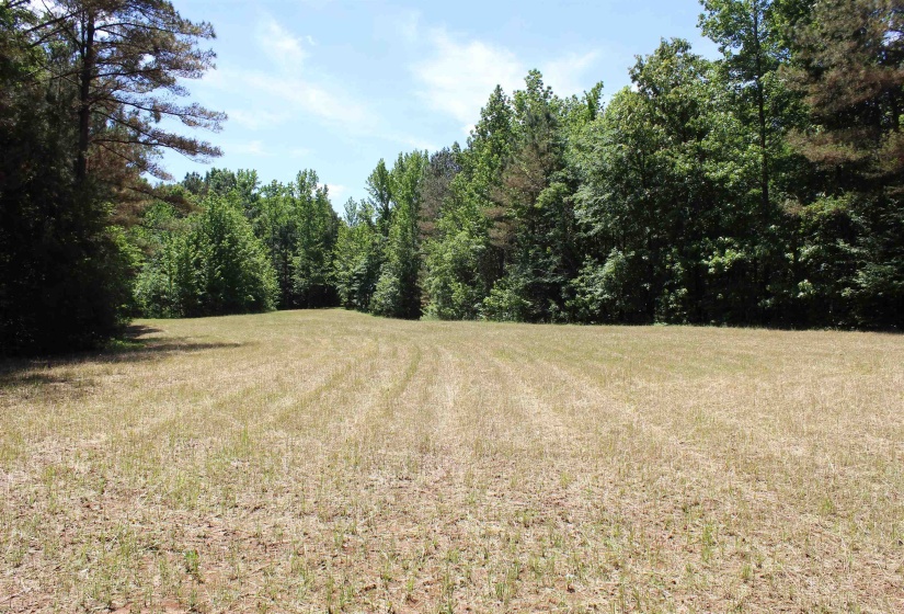 0 SILERTON RD, Bolivar, Tennessee 38008, ,Land,For Sale,SILERTON,10223158