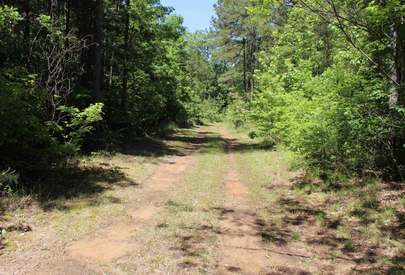 0 SILERTON RD, Bolivar, Tennessee 38008, ,Land,For Sale,SILERTON,10223158