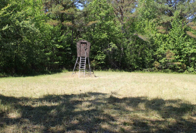 0 SILERTON RD, Bolivar, Tennessee 38008, ,Land,For Sale,SILERTON,10223158