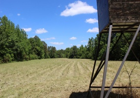 0 SILERTON RD, Bolivar, Tennessee 38008, ,Land,For Sale,SILERTON,10223158