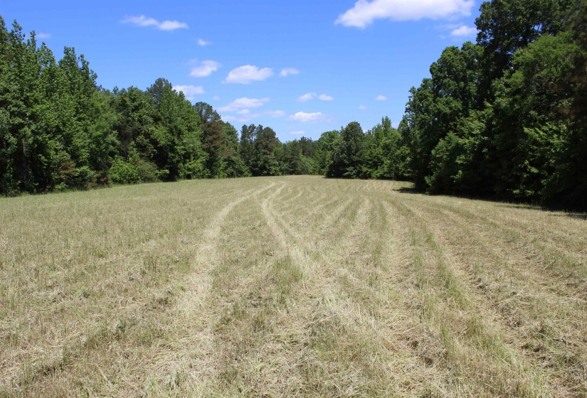 0 SILERTON RD, Bolivar, Tennessee 38008, ,Land,For Sale,SILERTON,10223158