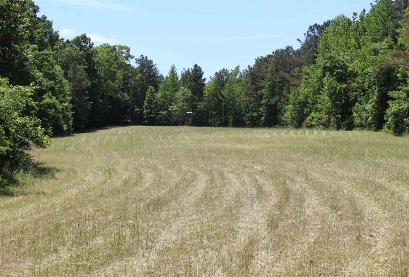 0 SILERTON RD, Bolivar, Tennessee 38008, ,Land,For Sale,SILERTON,10223158
