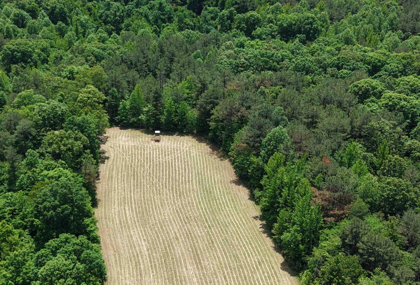 0 SILERTON RD, Bolivar, Tennessee 38008, ,Land,For Sale,SILERTON,10223158
