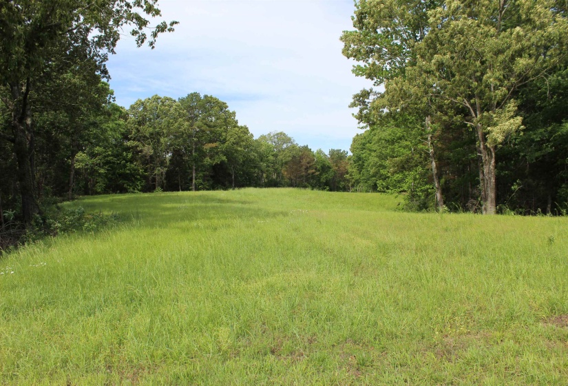 0 SILERTON RD, Bolivar, Tennessee 38008, ,Land,For Sale,SILERTON,10223158